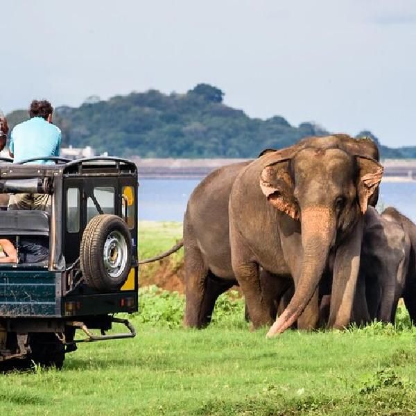 Yala National Park